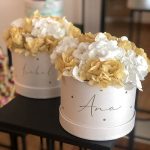 Caja Hortensia preservada