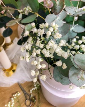 Caja Eucalipto preservado - Imagen 5