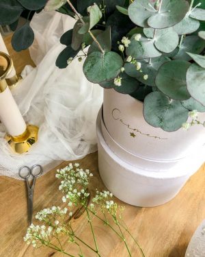 Caja Eucalipto preservado - Imagen 3