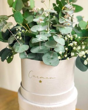 Caja Eucalipto preservado - Imagen 2