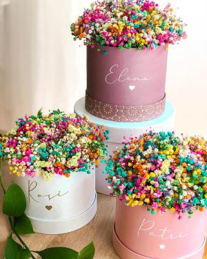 MarlafráCaja Paniculata arcoiris - Imagen 4