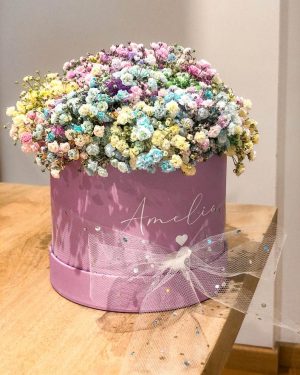 MarlafráCaja Paniculata arcoiris - Imagen 3