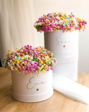 MarlafráCaja Paniculata arcoiris - Imagen 2