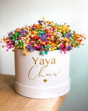 MarlafráCaja Paniculata arcoiris - Imagen 5