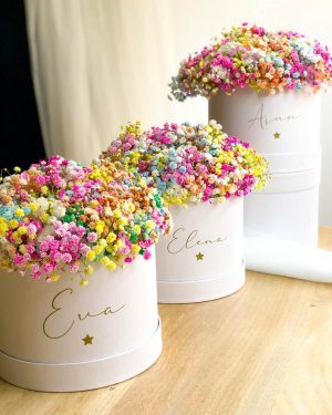 MarlafráCaja Paniculata arcoiris - Imagen 6