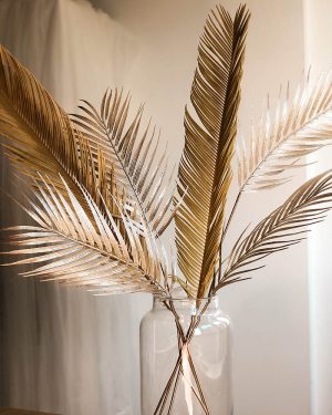 Ramo Palmas - Imagen 2