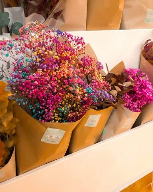 Ramo Paniculata Preservada - Imagen 3