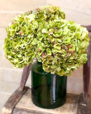 Taller Corona Hortensias - Imagen 2