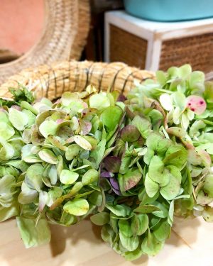 Taller Corona Hortensias - Imagen 4