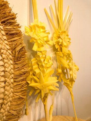 Taller PALMAS - Imagen 2