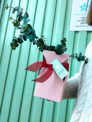 Planta de Eucalipto Cinerea - Imagen 4