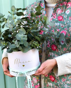 MarlafráCaja Eucalipto fresco - Imagen 5