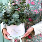 MarlafráCaja Eucalipto fresco