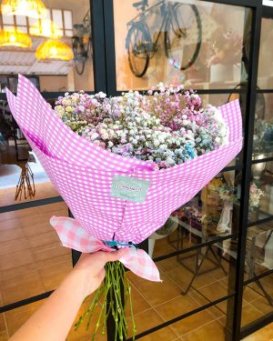 Paniculata Arcoiris con jarrón - Imagen 3