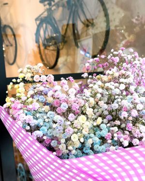 Ramo Paniculata Arcoiris - Imagen 2