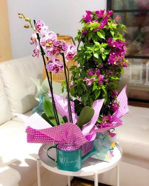 Orquídea Premium - Imagen 3