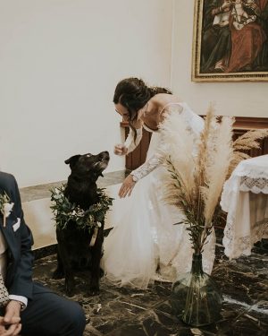 Collar perro boda - Imagen 5