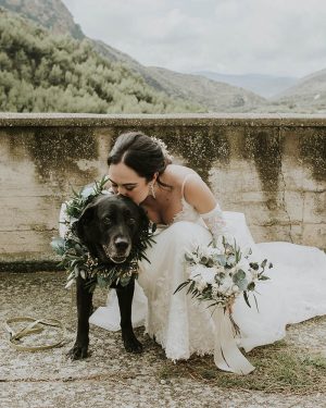 Collar perro boda - Imagen 2