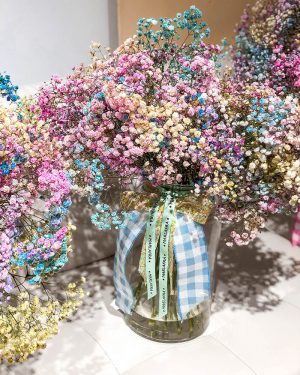 Paniculata Arcoiris con jarrón - Imagen 4