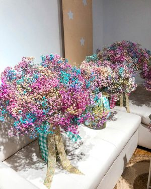 Paniculata Arcoiris con jarrón - Imagen 2