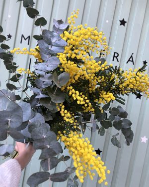 Ramo Mimosas y Eucalipto - Imagen 2