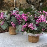 Taller flores (Cesto)